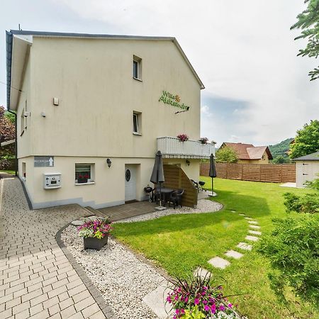 Willa Aleksandra - Apartamenty Miedzybrodzie Zywieckie Eksteriør bilde